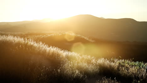 sunset over the valley fields
