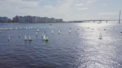 Yates-Navegando-En-Una-Bahía-De-La-Ciudad-Junto-A-Un-Puente-Y-Sol-De-Verano,-Ondas-Blancas-En-El-Agua