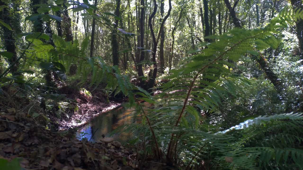 río que corre en medio del