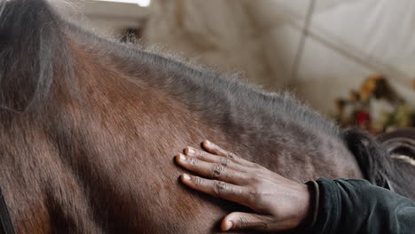 close up of an man petting a horse at a stable