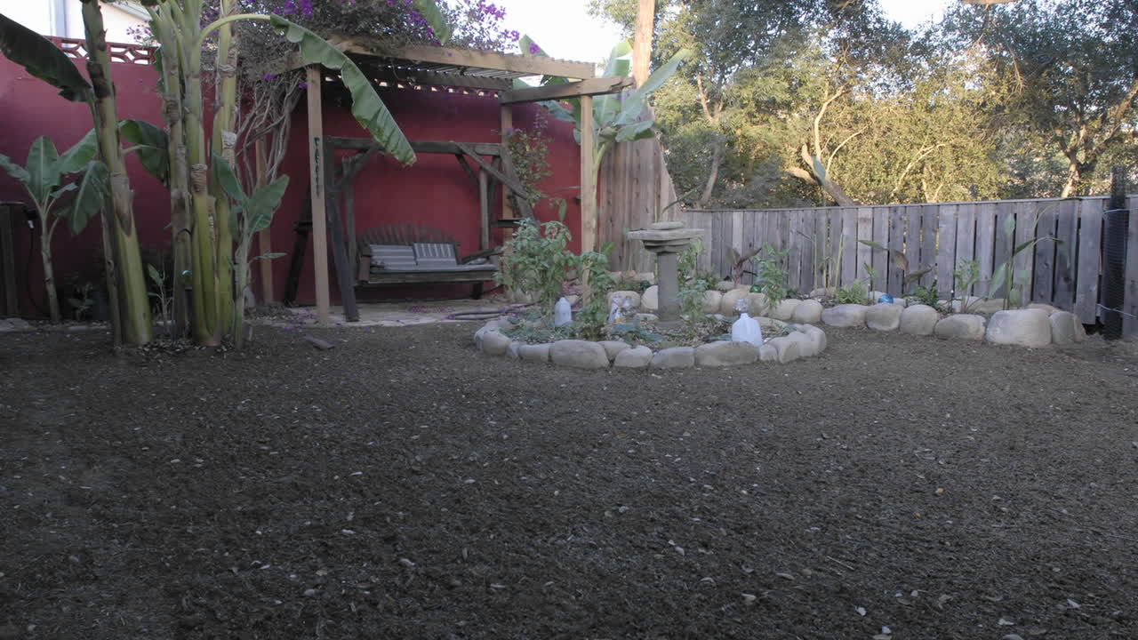 Long term time lapse of a new lawn growing in a backyard setting in Oak View California