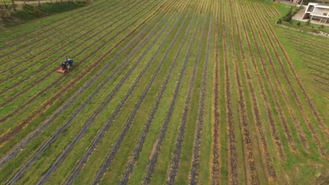 tractor agriculture machine works on farm field aerial view