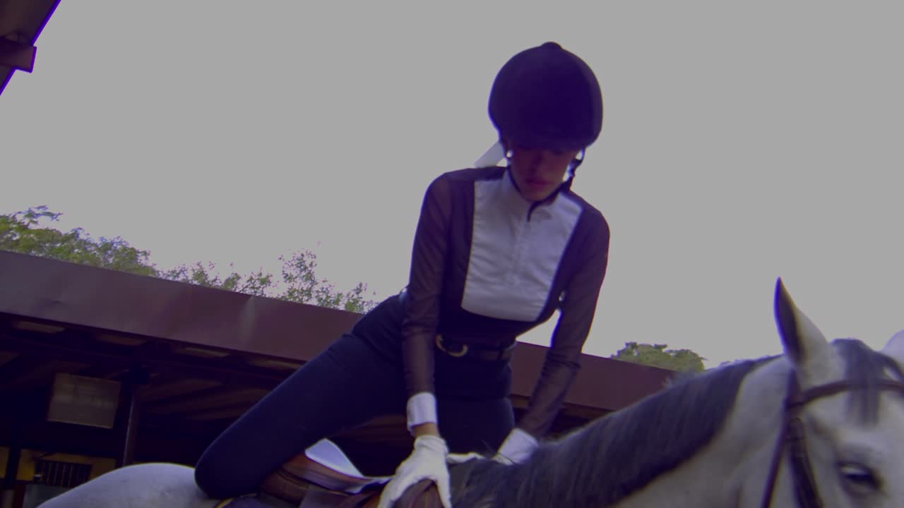 말을 타고 있는 여자, 말을 타는 기술, 예쁜 여자 조키,  ⁇  말, 말, 말을 타는 것