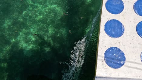 front of a bangka boat and crystal clear water on an island hopping tour in mactan cebu