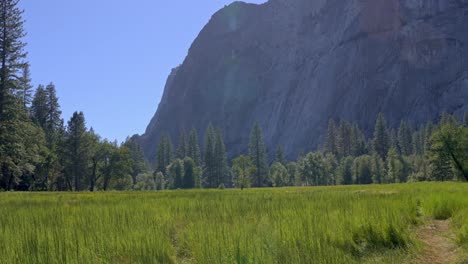 dramatic granite rock formation rising above the lush green meadows in yosemite valley, california