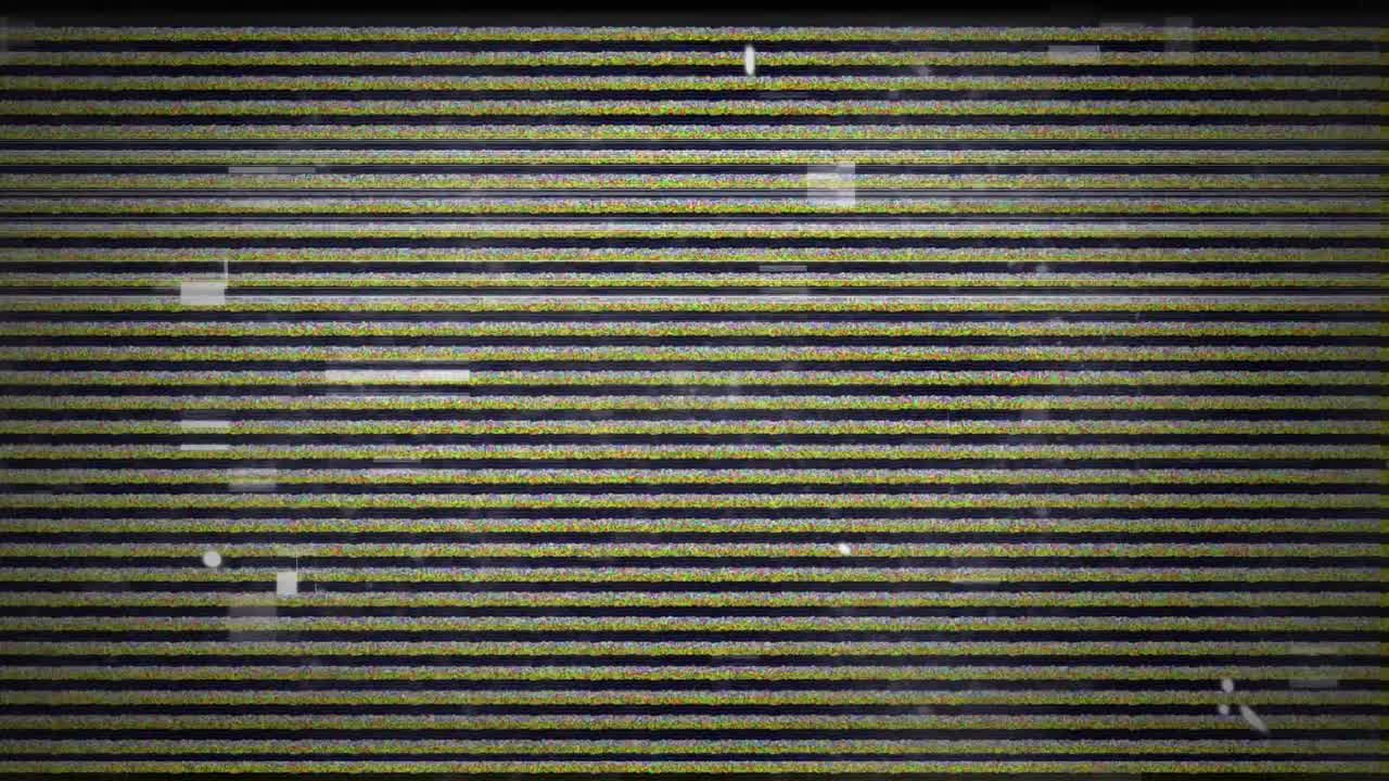 검은 바탕에 오류와  ⁇ 박이는 패턴을 가진 화면의 애니메이션