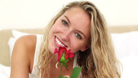 blonde haired woman smelling a red rose