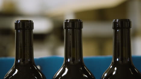 botellas de vino que pasan por la etapa de embotellado en una fábrica