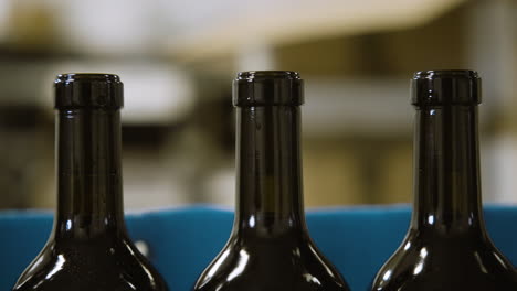 wine bottles travelling through the bottling stage in a factory