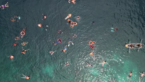 anonymous people swimming and snorkeling over tropical reef in clear blue water, rising drone overhead