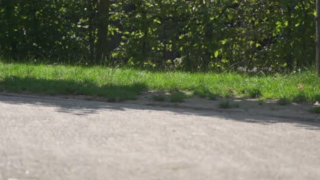 Close-up-of-a-young-females-legs-as-she-casually-walks-along-the-park-sidewalk-on-a-summer's-day