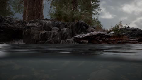 Half-underwater-in-northern-sea-with-rocks