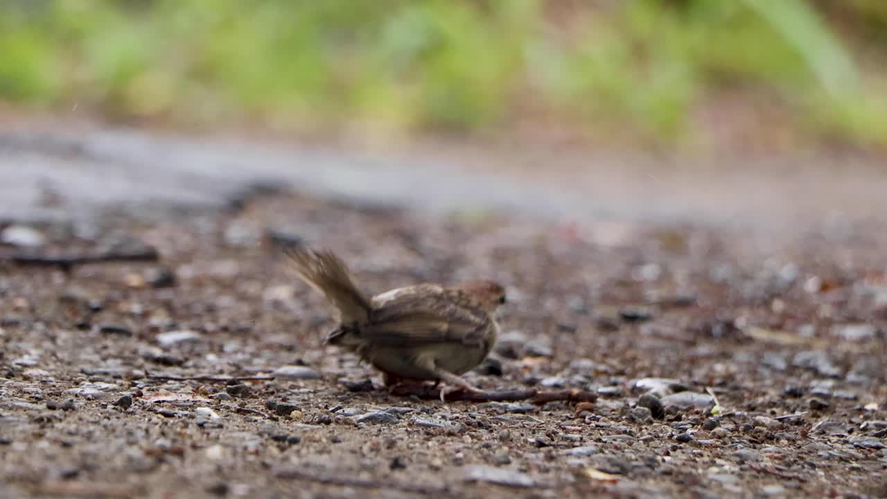 도쿄 최고의 전망