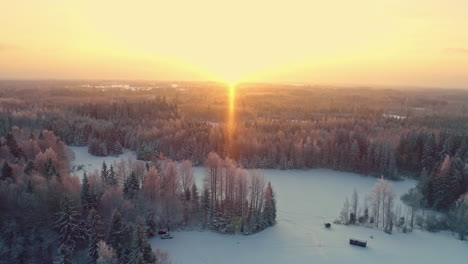 sunset over snowy coniferous forest in the countryside