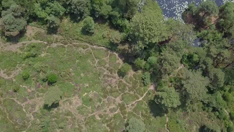 Top-View-Fly-Over-of-a-hidden-forest-pond-in-Devon,-UK,-STATIC-CROP