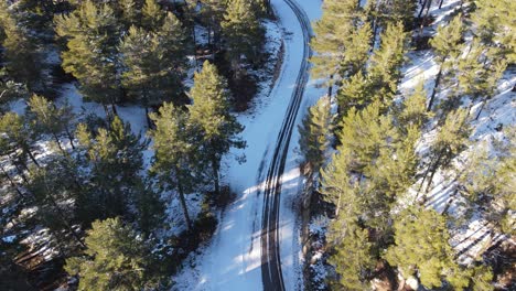 snowy forest road