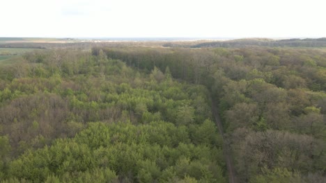 Aerial shot over a forest with a lot of vegetation. Shot forward aerial drone.