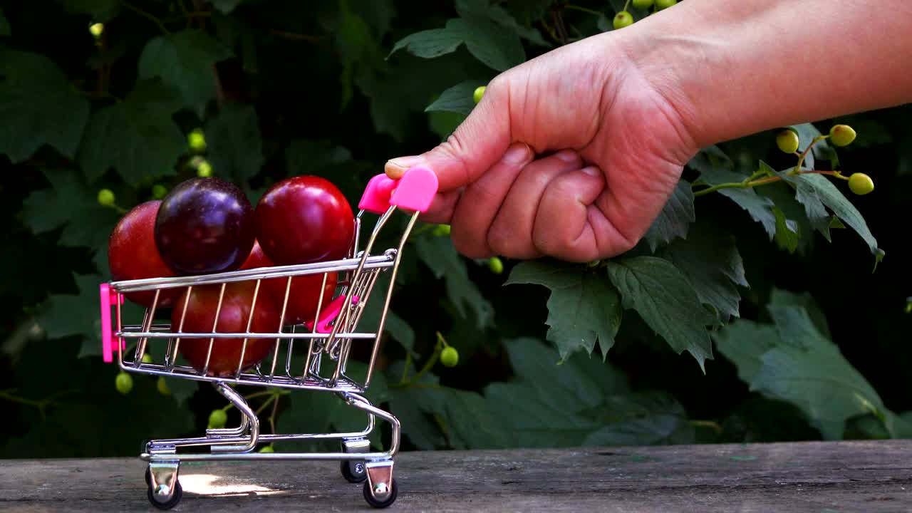 ciruelas frescas en un pequeño carrito comercial