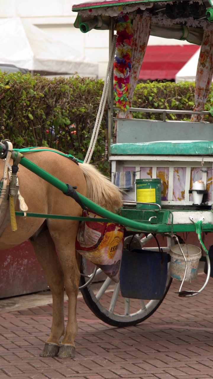 Una carrozza trainata da cavalli ferma attende su un sentiero di mattoni sotto la piena luce del sole a Manila
