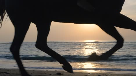 Piernas-De-Caballo-Corriendo-En-La-Playa-Durante-El-Amanecer,-Animal-Ungulado-Galopando-En-La-Arena