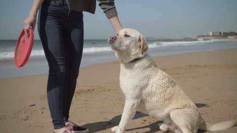 Süßes-Nasses-Labrador-Haustier,-Das-Neben-Dem-Besitzer-Auf-Sand-Sitzt.