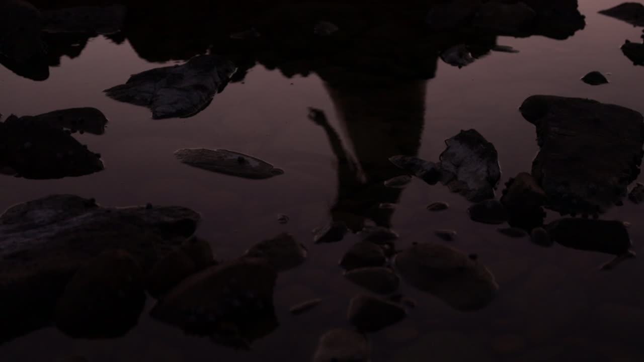 отражение женщины, танцующей на закате