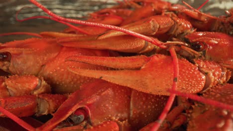 Boiled-crayfish-close-up