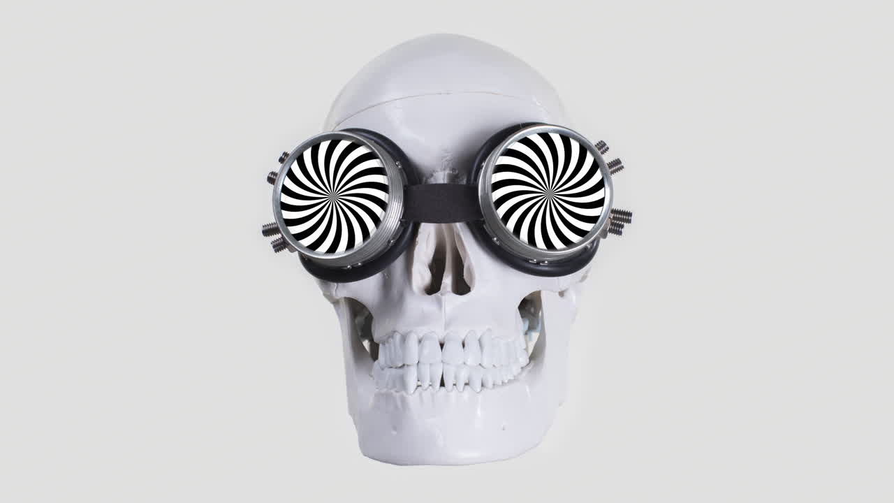 череп человека с солнцезащитными очками