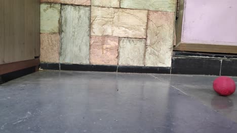 en este, una pelota de goma de cricket entra y sale del marco