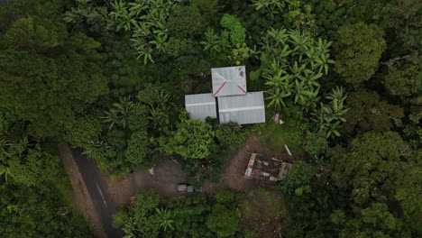 aerial zenith view of a house in the middle of the jungle of boquete, panama