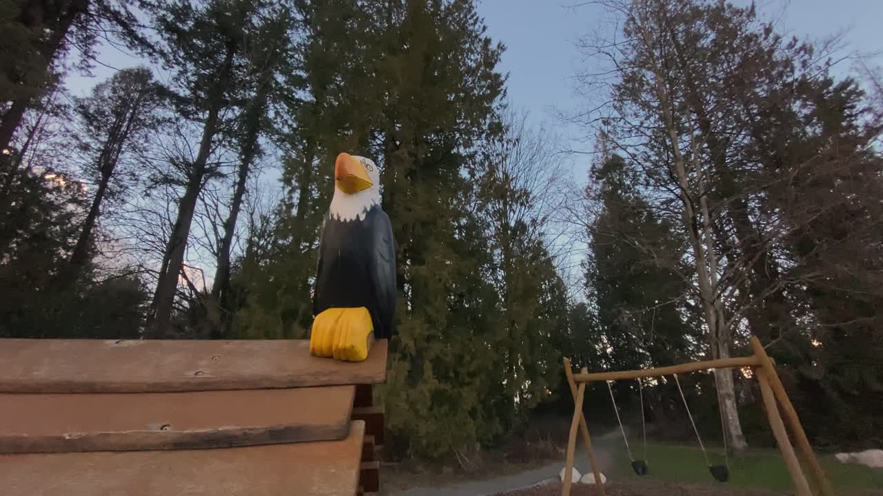 Treskjæring av en hvithodeørn plassert på taket av en lekeplassstruktur, sett fra et lavt utsiktspunkt, beveger seg sakte bakover og avslører tomme husker som henger over flis under en solnedgang i forstaden