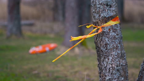 Yellow-and-red-marking-tape-tied-around-tree-moves-in-wind,-close-view