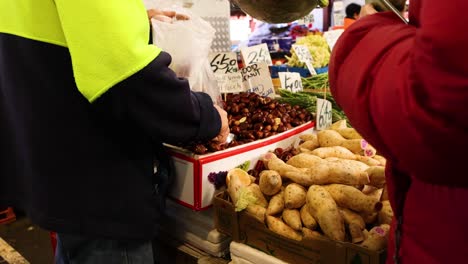 two people scooping chestnuts into a bag