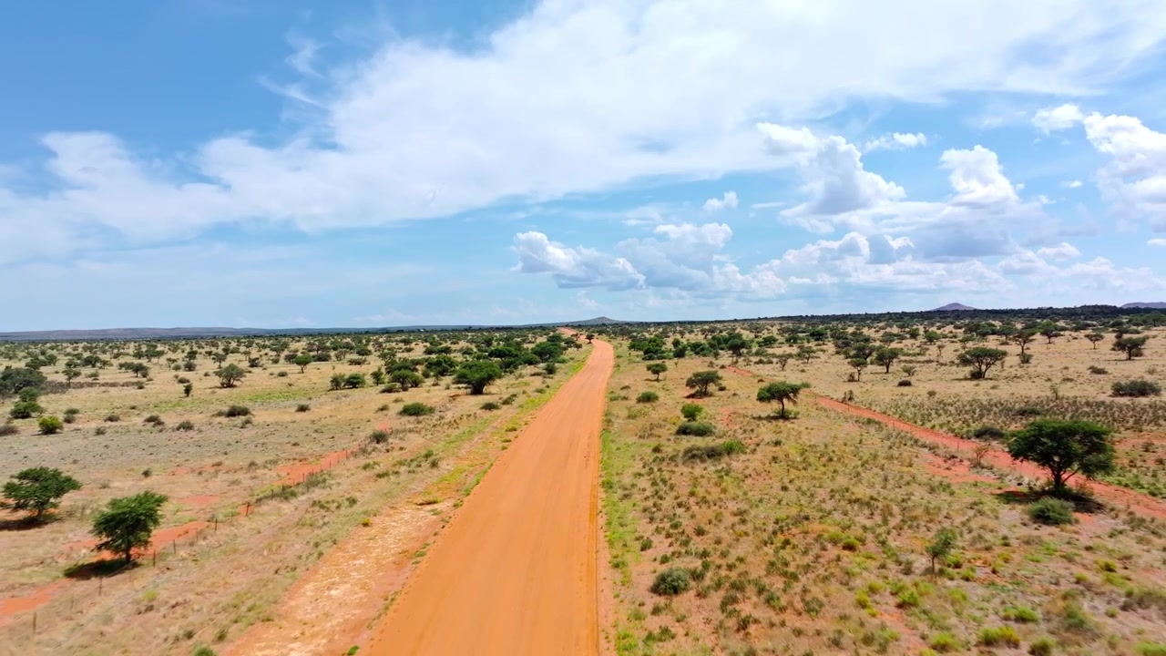 Vista drone di una strada desertica sabbiosa fiancheggiata da cespugli di acacia che attraversa le pianure del Kalahari. La pista solitaria si snoda attraverso sabbia rossa infinita ed erba dorata punteggiata da robusti alberi di acacia.