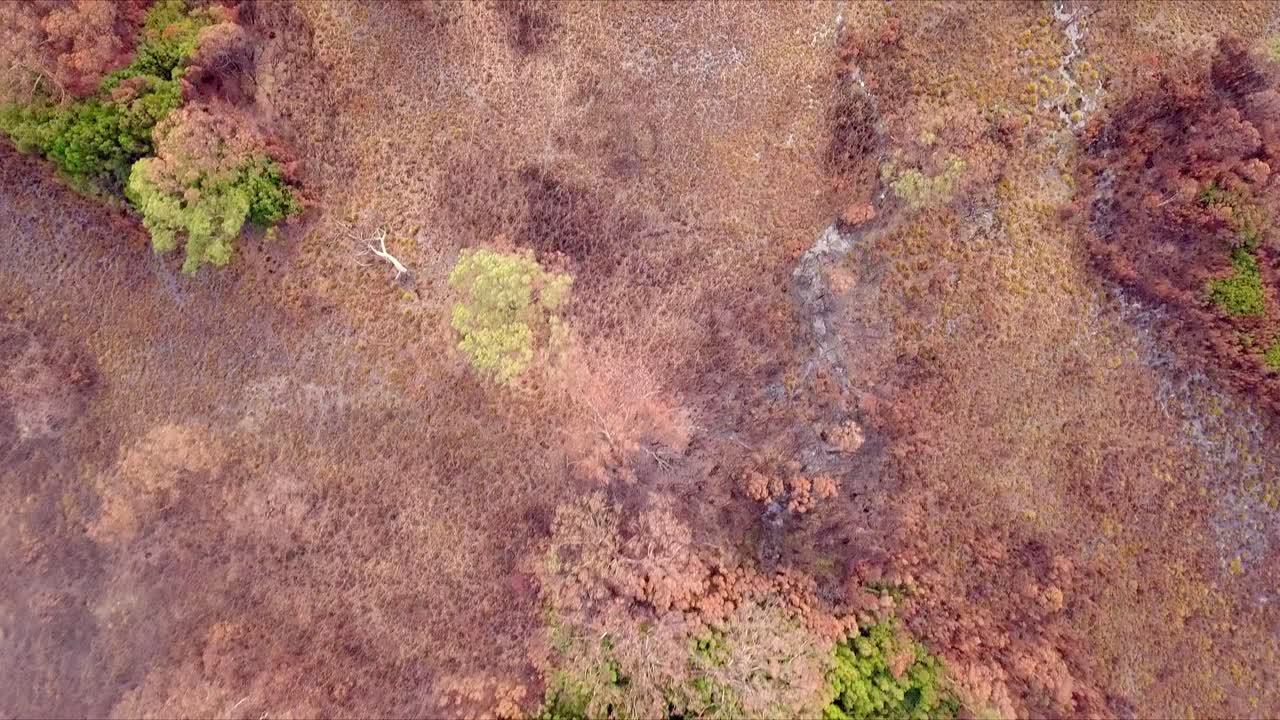 vuelo aéreo sobre bosques verdes y rojos y pastizales áridos en tasmania en australia, perspectiva de ojo de pájaro avanzando