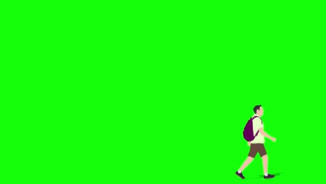 animation of young man walking through from left to right.  loop animation ( 4k video ). green background for background transparent use.