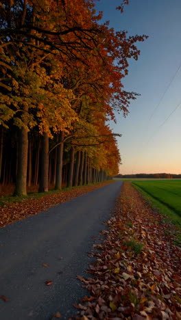 Autumn Road Through Colorful Trees