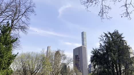 a tranquil scene capturing the harmony between nature and urban architecture with towering skyscrapers framed by lush green trees under a clear blue sky