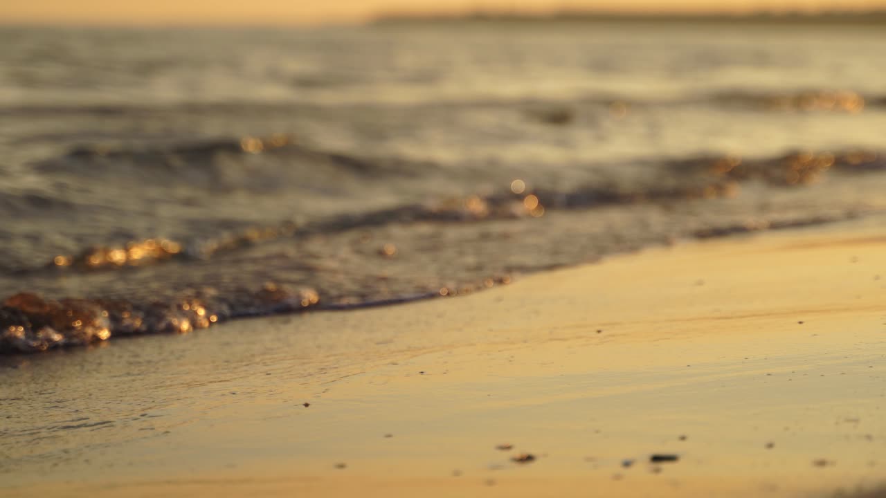 Sea wave close up. Golden sand and sea wave with foam