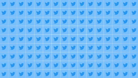 social twitter icons on network background