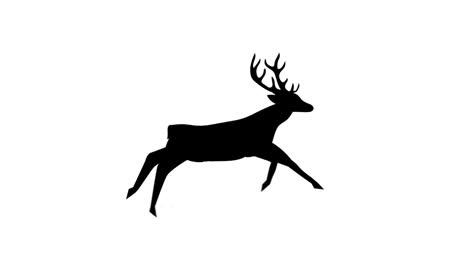 digital animation of black silhouette of reindeer running against white background