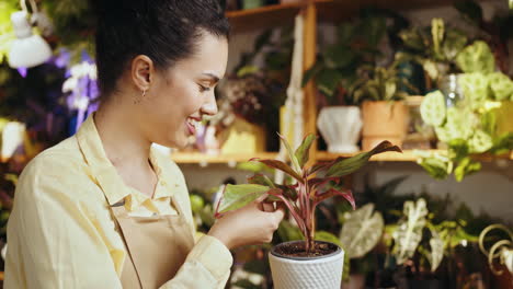 mujer examinando una planta de interior en una floristería