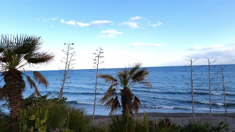 Meereswellen-Treffen-Hinter-Einer-Palme-Auf-Den-Strand,-Der-Horizont-Ist-Nicht-Eben