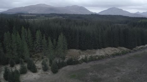 Flight-over-forest-with-mountains-at-the-horizon