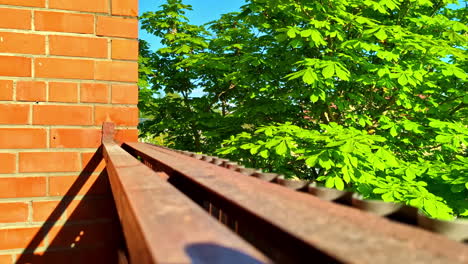 rusted iron balcony railing facing lush green chestnut trees in bright sun