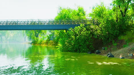 Green-lawn-in-city-park-with-swamp-under-sunny-light