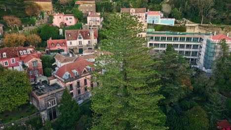 drone picturesque green village at calm evening. lush greenery surrounding homes