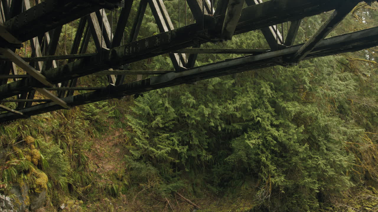 Raindrops falling in a mystical mist, the old train bridge looms, its timeworn beams laden with stories untold. It stands as a silent witness to the passage of time, a symbol of forgotten journeys.