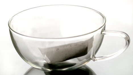 teabag falling into glass cup