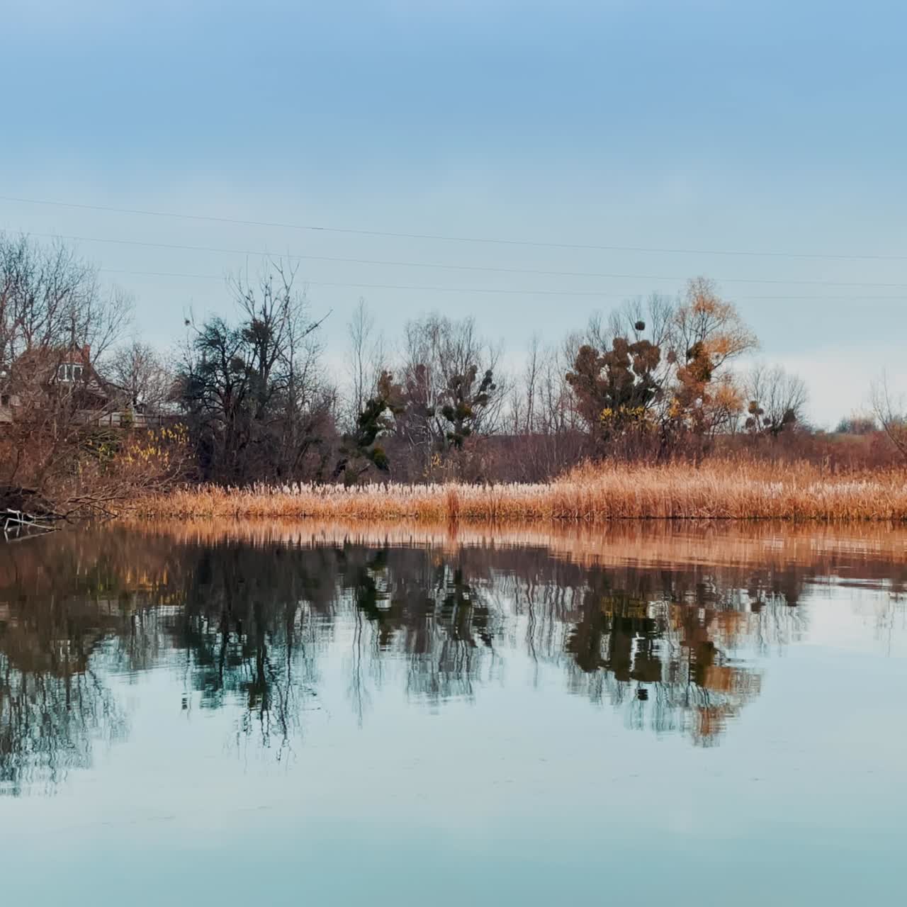 Fading nature in autumn. Bare trees and dry grass on the waterfront of calm river. Mistletoe plants growing on the branches